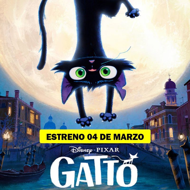 GATTO - 4/3