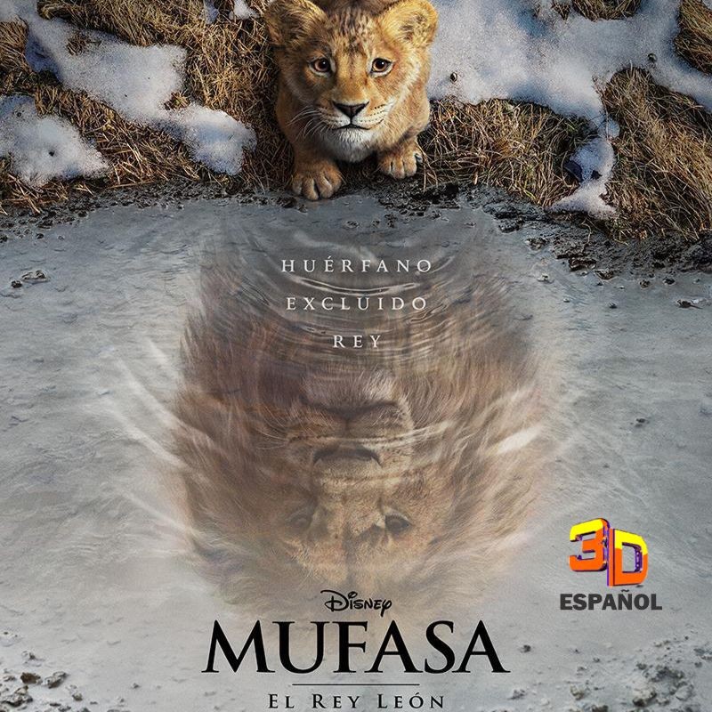 MUFASA - 19/12